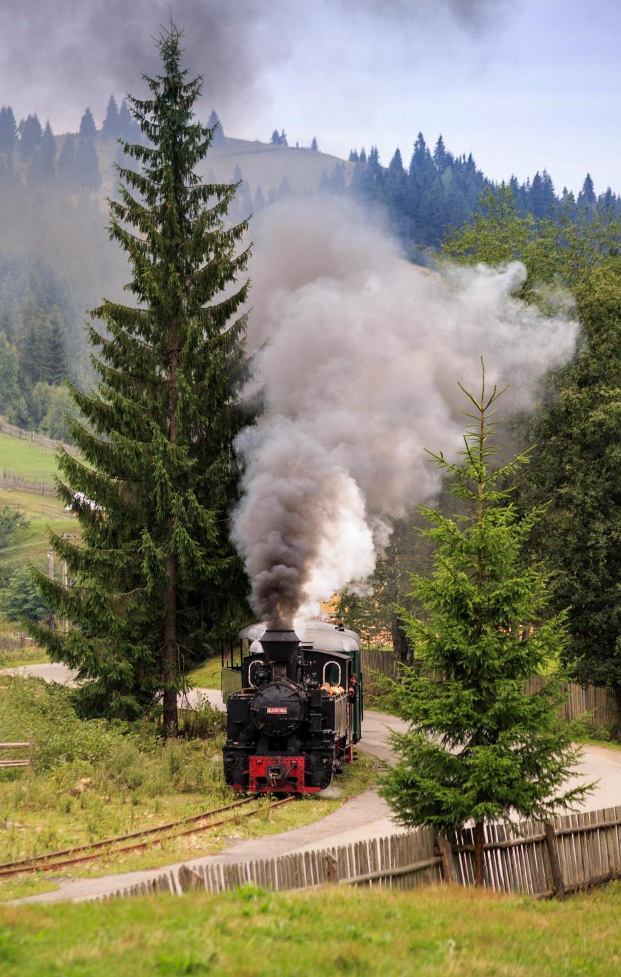 Bucovina Exclusiv Otel Vama  Dış mekan fotoğraf